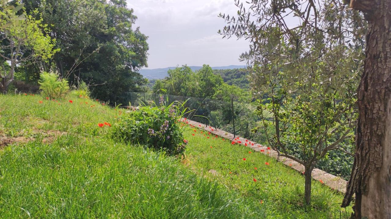 Grotte di Castro A 2 Passi Dal Lago מראה חיצוני תמונה